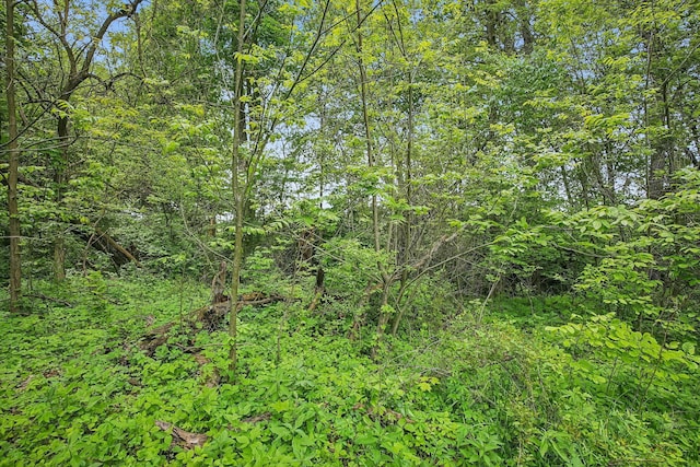 4217 Caswell Rd, Johnstown, OH 43031 - view of tree filled area