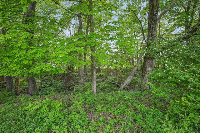 4217 Caswell Rd, Johnstown, OH 43031 - view of wooded area