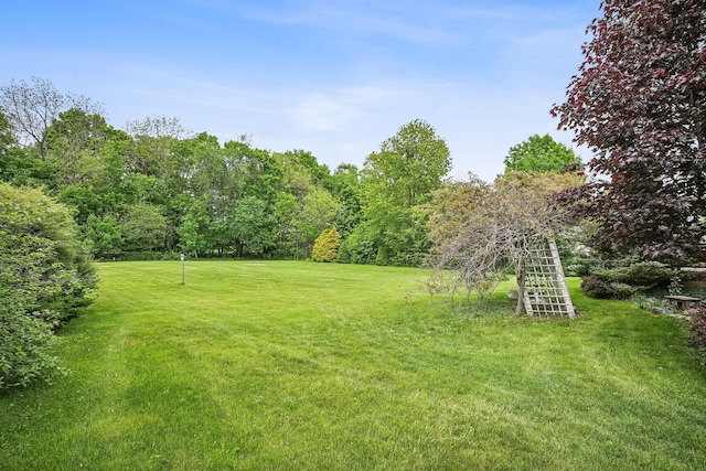 4217 Caswell Rd, Johnstown, OH 43031 - view of green lawn