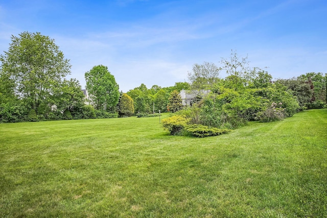 4217 Caswell Rd, Johnstown, OH 43031 - view of grassy yard