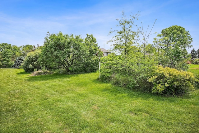 4217 Caswell Rd, Johnstown, OH 43031 - view of grassy yard