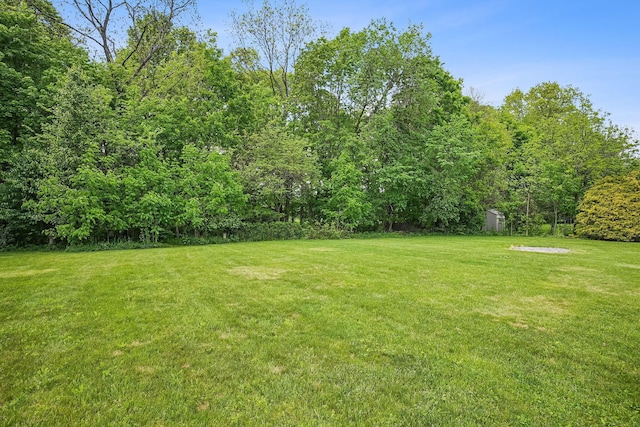 4217 Caswell Rd, Johnstown, OH 43031 - view of green lawn with a forest view