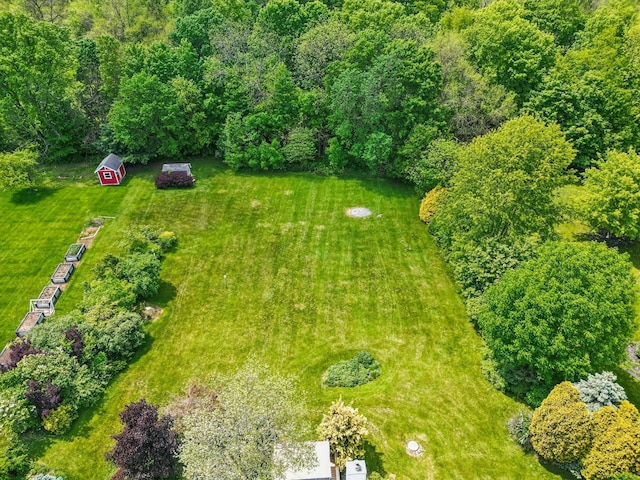 4217 Caswell Rd, Johnstown, OH 43031 - aerial view