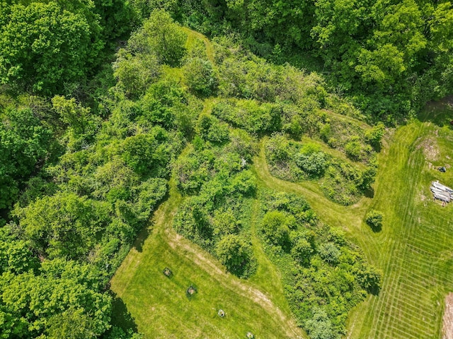 4217 Caswell Rd, Johnstown, OH 43031 - aerial view of property's location