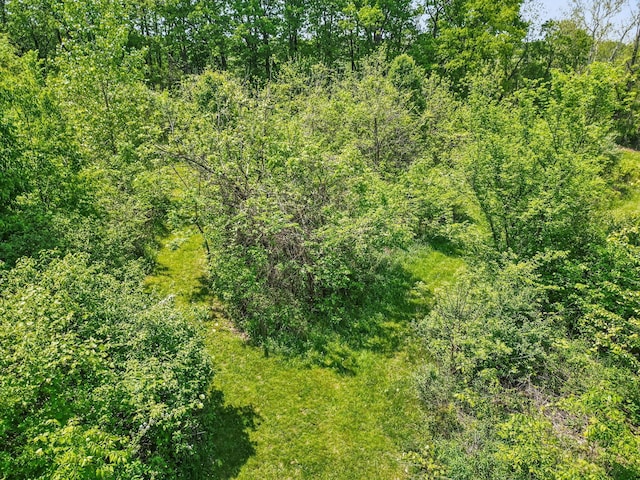 4217 Caswell Rd, Johnstown, OH 43031 - view of tree filled area