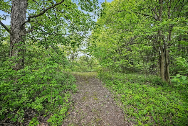 4217 Caswell Rd, Johnstown, OH 43031 - view of street with a view of trees