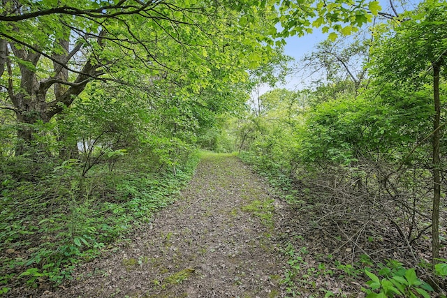 4217 Caswell Rd, Johnstown, OH 43031 - view of wooded area