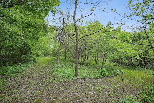 4217 Caswell Rd, Johnstown, OH 43031 - view of wooded area