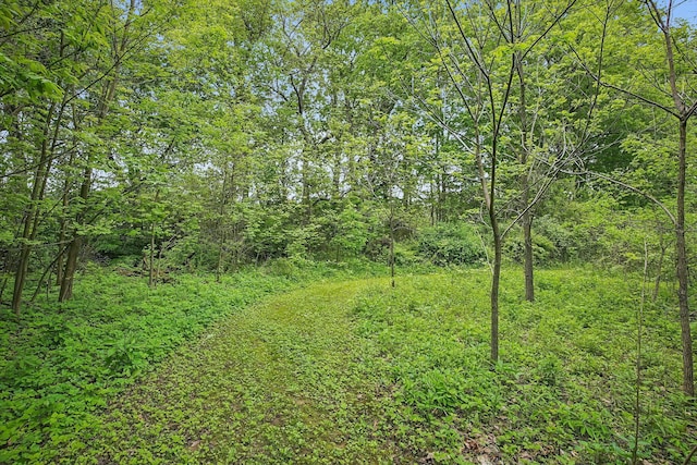 4217 Caswell Rd, Johnstown, OH 43031 - view of woods