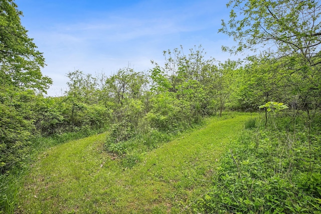 4217 Caswell Rd, Johnstown, OH 43031 - view of woods