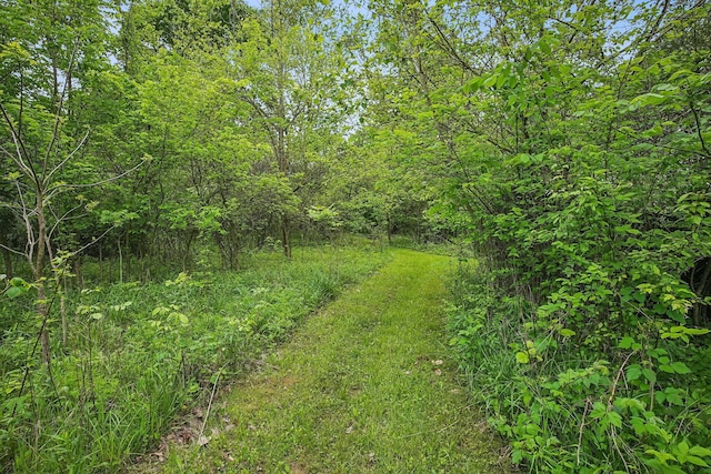 4217 Caswell Rd, Johnstown, OH 43031 - view of tree filled area