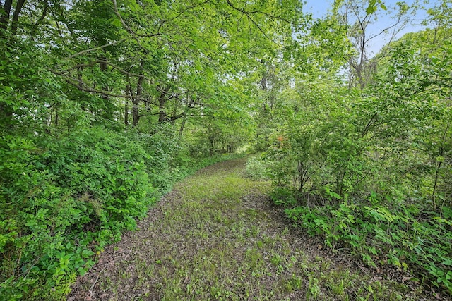 4217 Caswell Rd, Johnstown, OH 43031 - view of undeveloped land