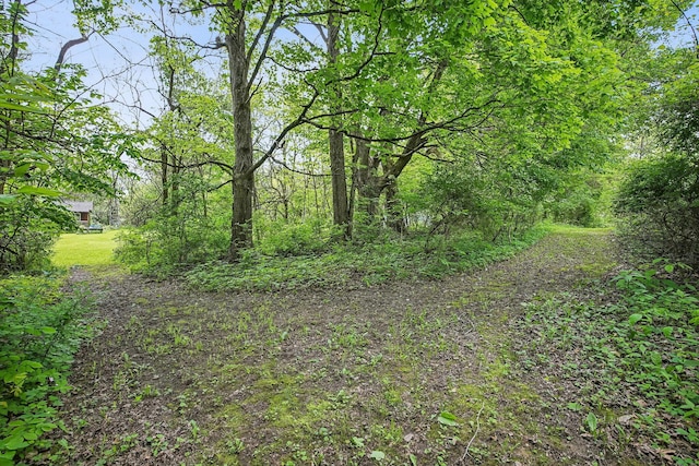 4217 Caswell Rd, Johnstown, OH 43031 - view of local wilderness