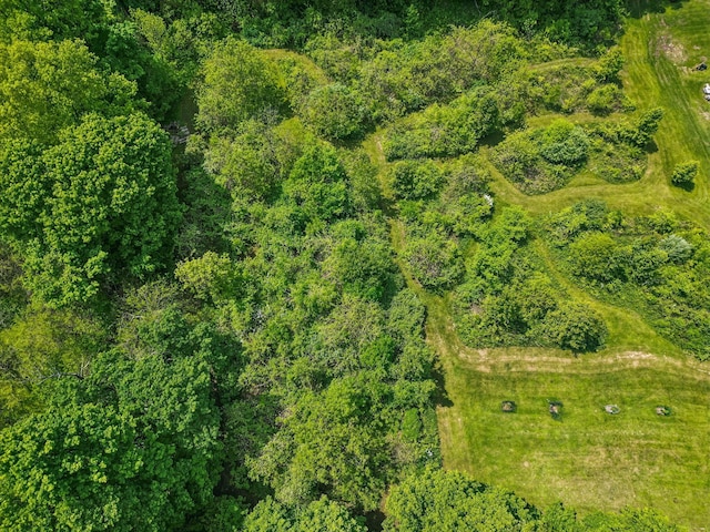 4217 Caswell Rd, Johnstown, OH 43031 - aerial view of property and surrounding area