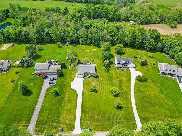 4217 Caswell Rd, Johnstown, OH 43031 - bird's eye view
