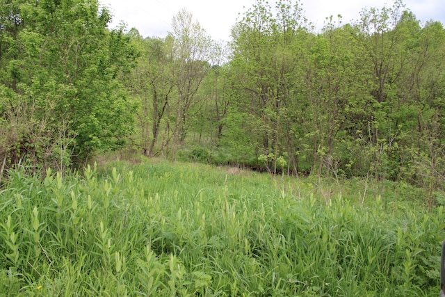 0 Township Rd Unit 4, Frazeysburg, OH 43822