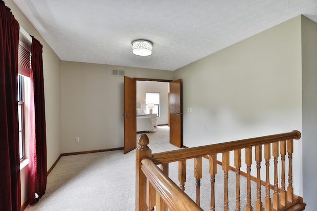 587 Center Woods Dr, Columbus, OH 43214 - hallway featuring healthy amount of natural light, light carpet, baseboards, and an upstairs landing
