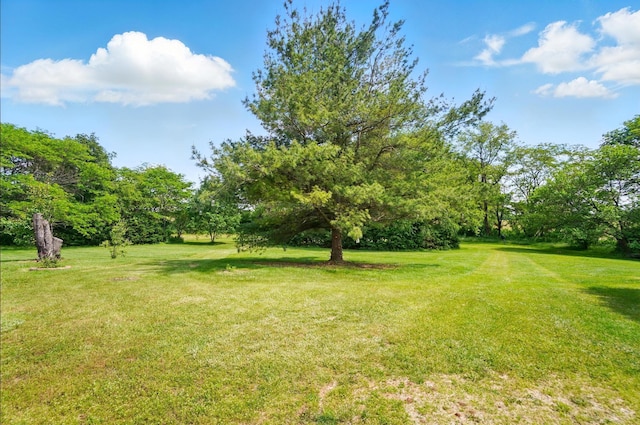 3865 Anderson Rd, Circleville, OH 43113 - view of green lawn featuring view of wooded area