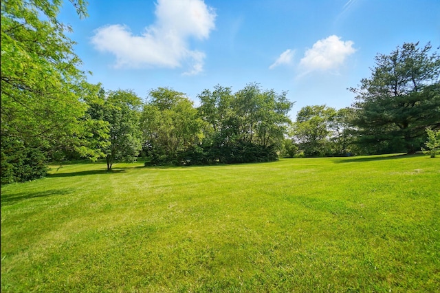3865 Anderson Rd, Circleville, OH 43113 - view of green lawn