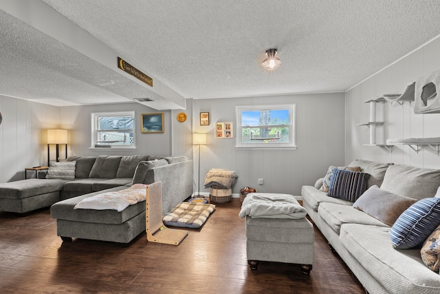 2923 Falcon Bridge Dr, Columbus, OH 43232 - living area featuring healthy amount of natural light, a textured ceiling, and dark wood-style floors