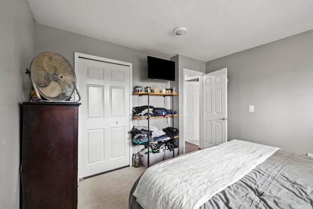 2923 Falcon Bridge Dr, Columbus, OH 43232 - view of carpeted bedroom
