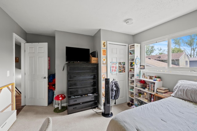 2923 Falcon Bridge Dr, Columbus, OH 43232 - view of carpeted bedroom