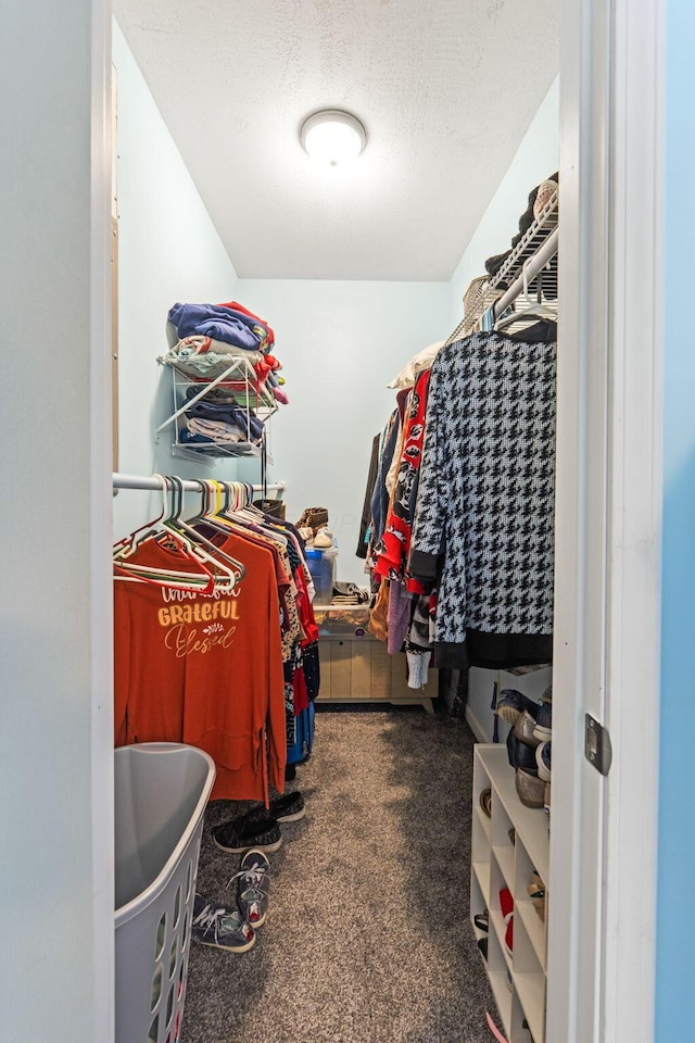 145 Sara Ave, Marion, OH 43302 - walk in closet featuring carpet flooring