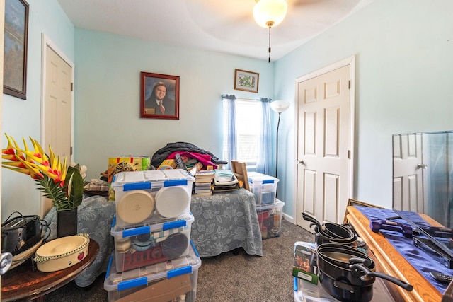 145 Sara Ave, Marion, OH 43302 - bedroom with carpet floors and a ceiling fan
