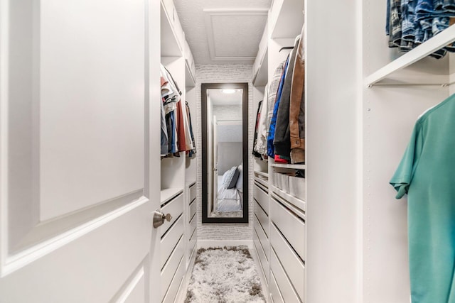 7834 Avaleen Cir N, Dublin, OH 43016 - walk in closet with attic access