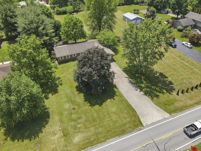 bird's eye view