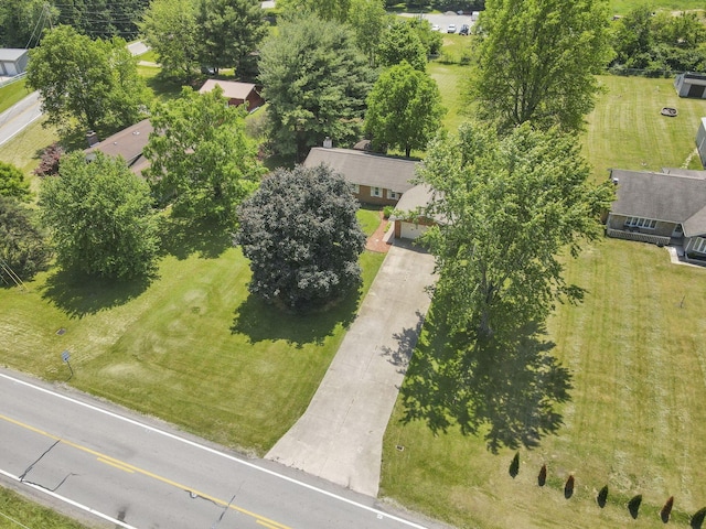 bird's eye view