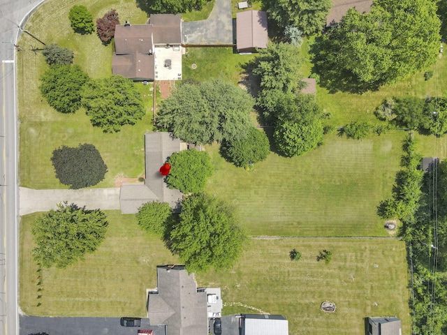 drone / aerial view