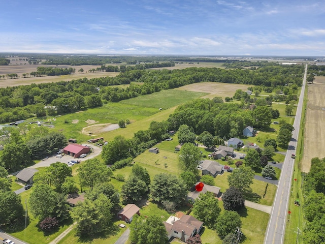 bird's eye view of a tree filled landscape