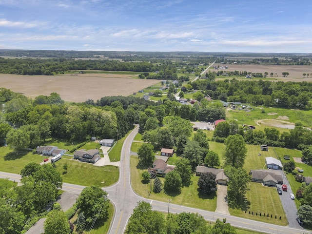 bird's eye view of a tree filled landscape