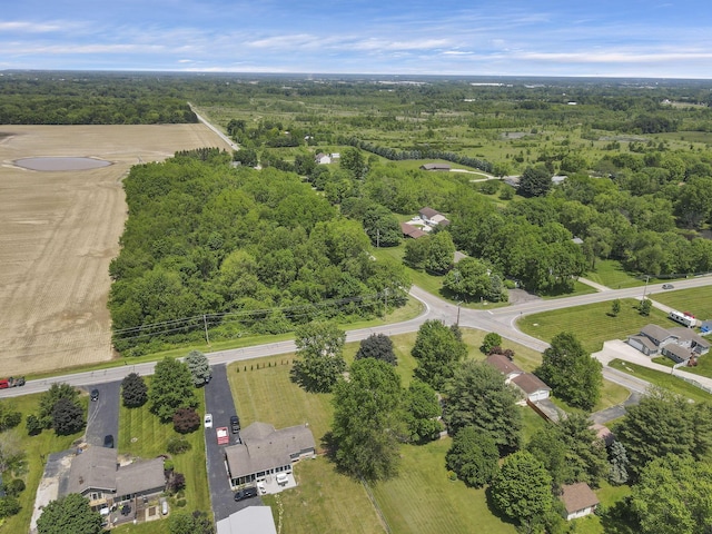 drone / aerial view of a forest