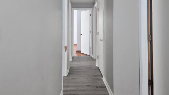 1236 Lindenwood Rd N, Columbus, OH 43229 - hall with wood finished floors and baseboards