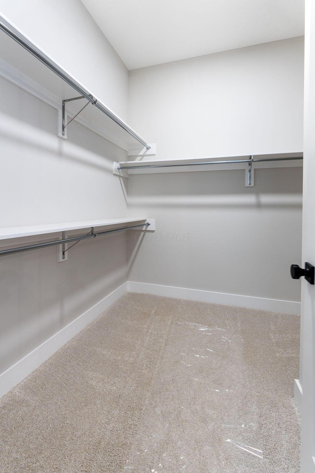5599 Piatt Rd, Lewis Center, OH 43035 - walk in closet featuring carpet