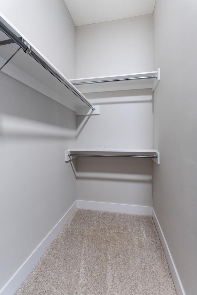 5599 Piatt Rd, Lewis Center, OH 43035 - walk in closet with carpet