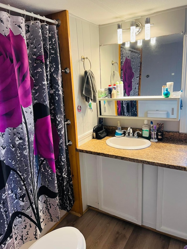 12030 Holly Dr Unit 31, Lakeview, OH 43331 - bathroom featuring wood finished floors, vanity, toilet, and a shower with curtain