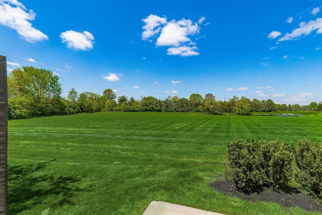 4556 Hickory Rock Dr, Powell, OH 43065 - photo 5