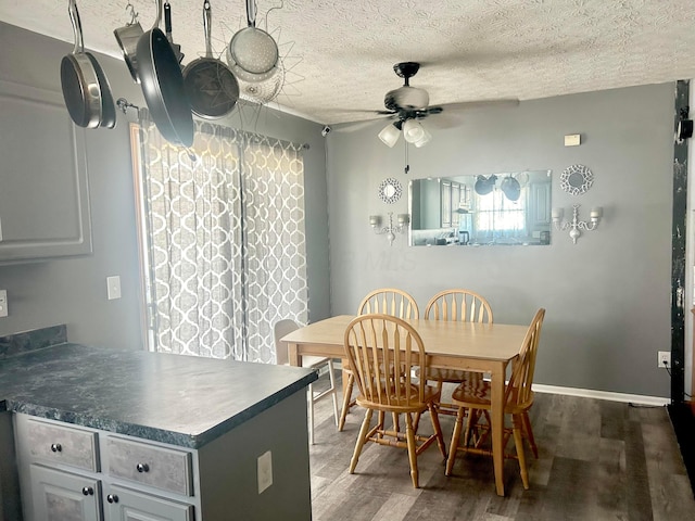 dining room featuring wood finished floors, ceiling fan, and a textured ceiling