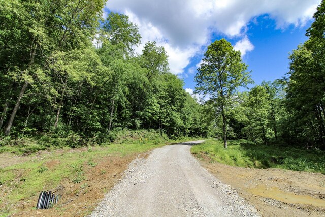 11187 Techniglas Rd, Saint Louisville, OH 43071 - photo 4