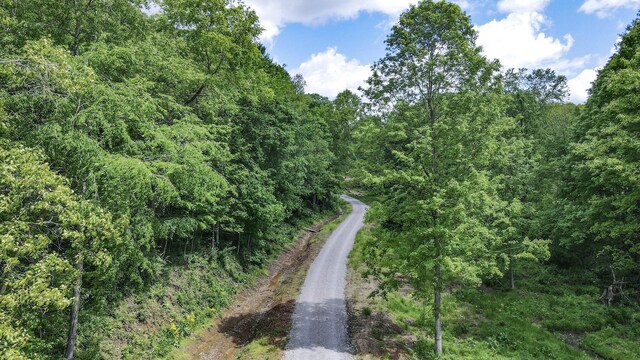 11187 Techniglas Rd, Saint Louisville, OH 43071 - photo 5