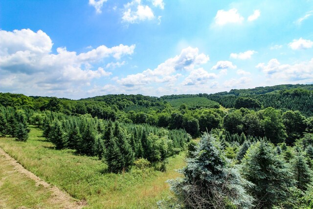 11187 Techniglas Rd, Saint Louisville, OH 43071 - photo 25