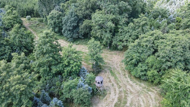 11187 Techniglas Rd, Saint Louisville, OH 43071 - photo 29