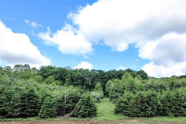 11187 Techniglas Rd, Saint Louisville, OH 43071 - photo 38