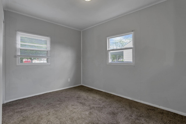 392 S Hampton Rd, Columbus, OH 43213 - unfurnished room with ornamental molding, carpet, and baseboards