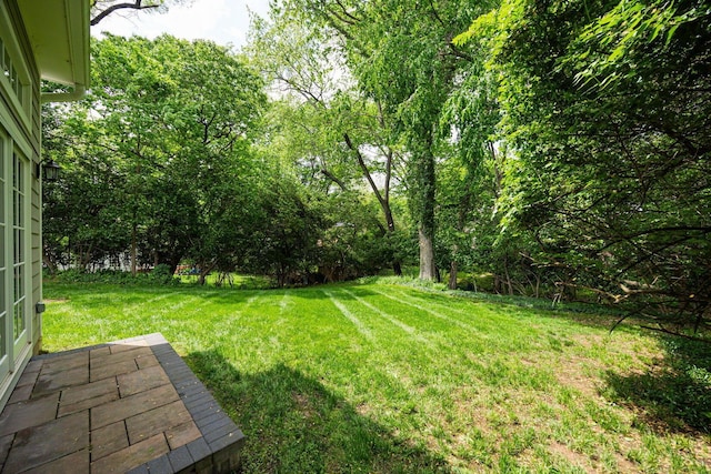 366 W S St, Worthington, OH 43085 - view of grassy yard