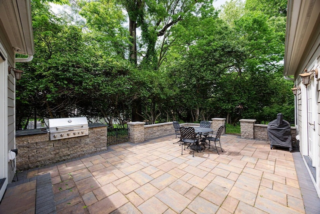366 W S St, Worthington, OH 43085 - view of patio / terrace featuring area for grilling and outdoor dining area
