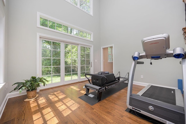 366 W S St, Worthington, OH 43085 - exercise room featuring wood finished floors and a high ceiling